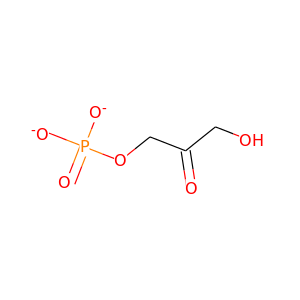 Glycerone-phosphate