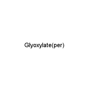 Glyoxylate(per)