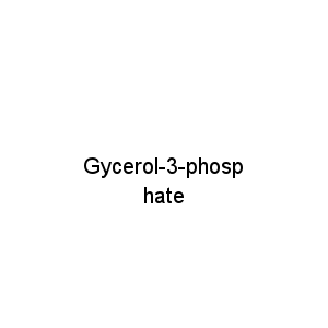 Gycerol-3-phosphate