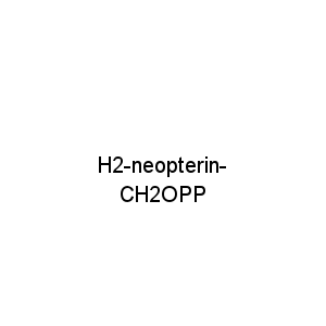 H2-neopterin-CH2OPP