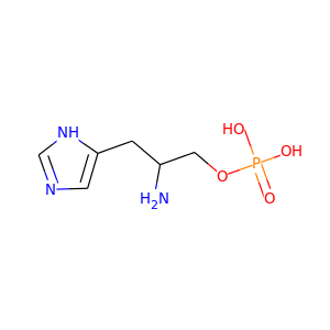Histidinol-P