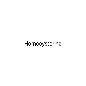 Homocysterine