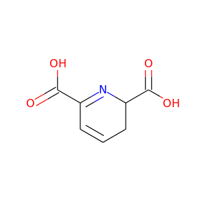L-2,3-Dihydrodipicolinate