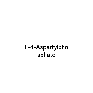 L-4-Aspartylphosphate