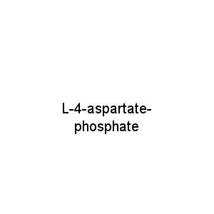 L-4-aspartate-phosphate