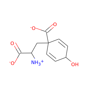 L-AROGENATE
