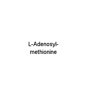 L-Adenosyl-methionine