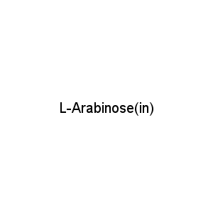 L-Arabinose(in)