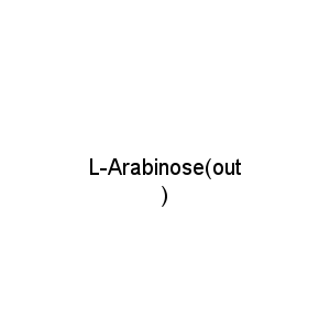 L-Arabinose(out)