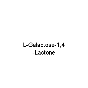 L-Galactose-1,4-Lactone