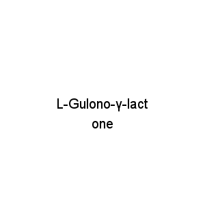 L-Gulono-γ-lactone
