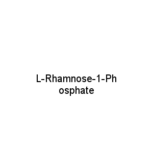 L-Rhamnose-1-Phosphate