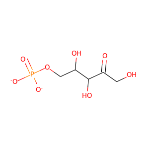 L-Ribulose-5-phosphate
