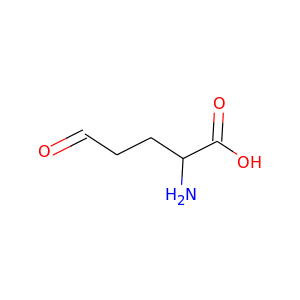 L-glutamate-5-semialdehyde
