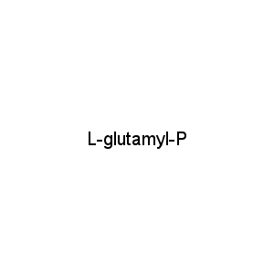 L-glutamyl-P