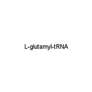L-glutamyl-tRNA