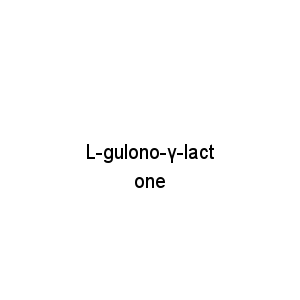 L-gulono-γ-lactone