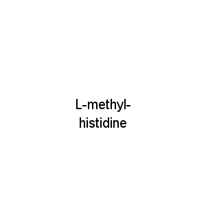 L-methyl-histidine