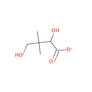 L-pantoate