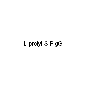 L-prolyl-S-PigG