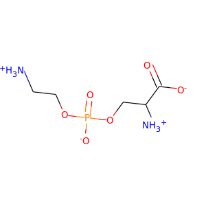 L-serine-phosphoethanolamine