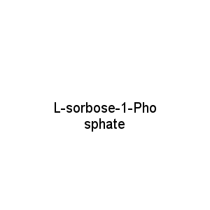 L-sorbose-1-Phosphate
