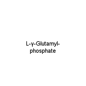 L-γ-Glutamyl-phosphate