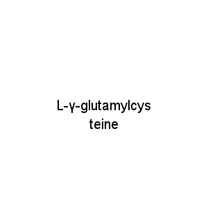 L-γ-glutamylcysteine