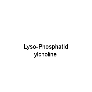 Lyso-Phosphatidylcholine