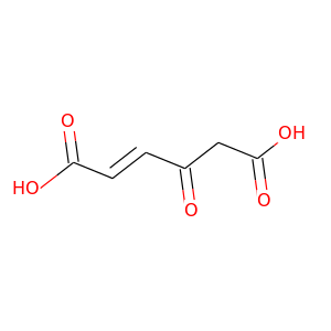 Maleylacetate