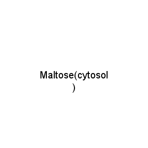 Maltose(cytosol)