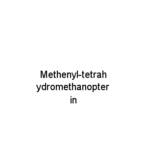 Methenyl-tetrahydromethanopterin