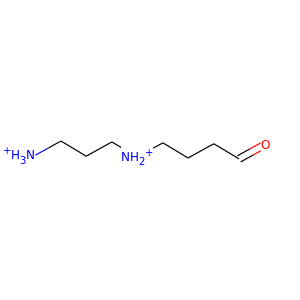 N-(3-aminopropyl)-4-aminobutanal