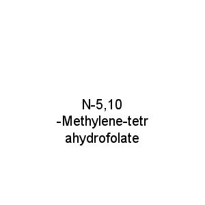 N-5,10-Methylene-tetrahydrofolate