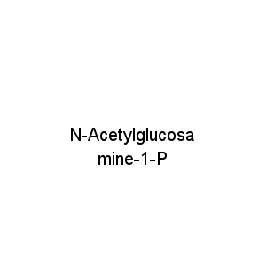 N-Acetylglucosamine-1-P