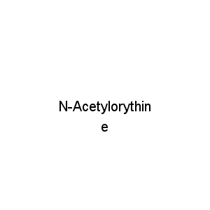 N-Acetylorythine