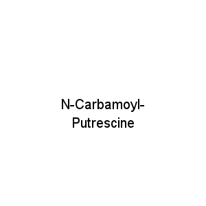 N-Carbamoyl-Putrescine