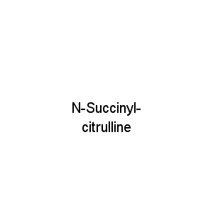 N-Succinyl-citrulline