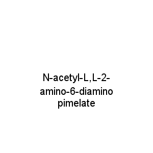 N-acetyl-L,L-2-amino-6-diaminopimelate