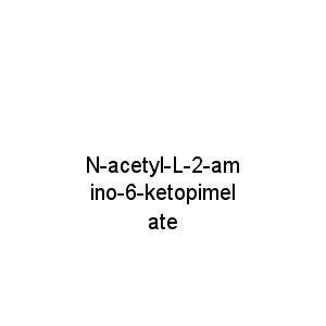 N-acetyl-L-2-amino-6-ketopimelate