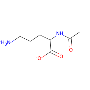 N-acetyl-L-Ornithine