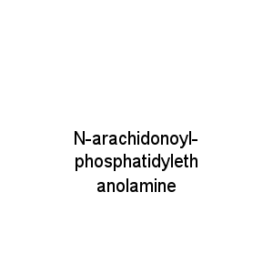 N-arachidonoyl-phosphatidylethanolamine