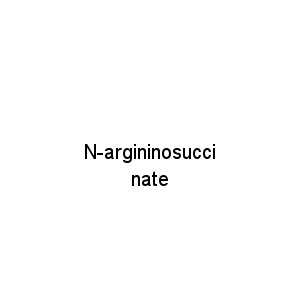 N-argininosuccinate