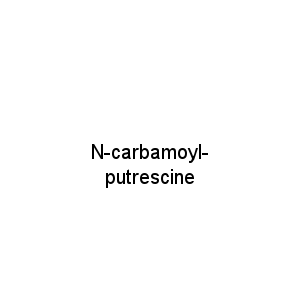 N-carbamoyl-putrescine
