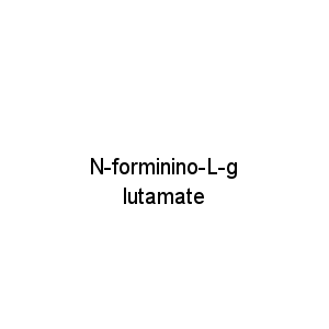 N-forminino-L-glutamate