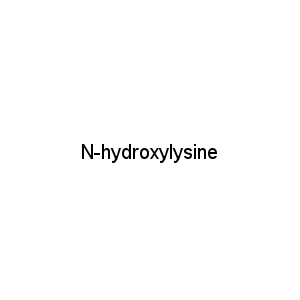 N-hydroxylysine