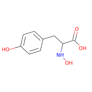 N-hydroxytyrosine
