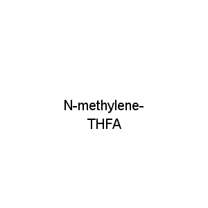 N-methylene-THFA