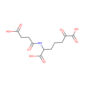 N-succinyl-2-amino-6-oxopimelate