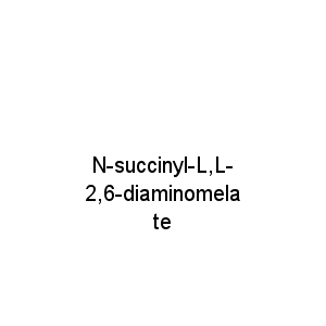 N-succinyl-L,L-2,6-diaminomelate